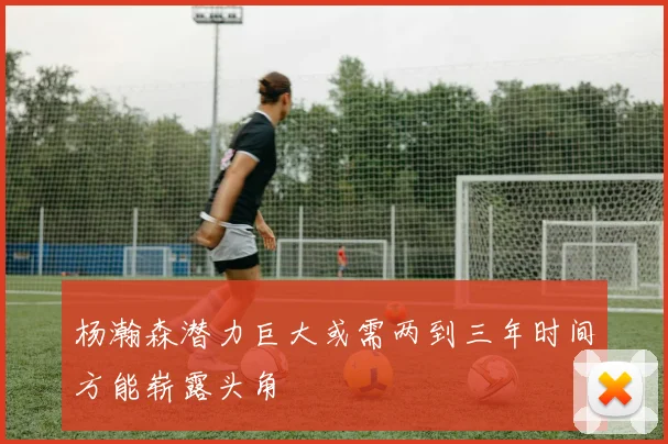 杨瀚森潜力巨大或需两到三年时间方能崭露头角